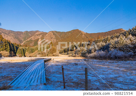 （靜岡縣）冬天的小田貫濕地 98821554