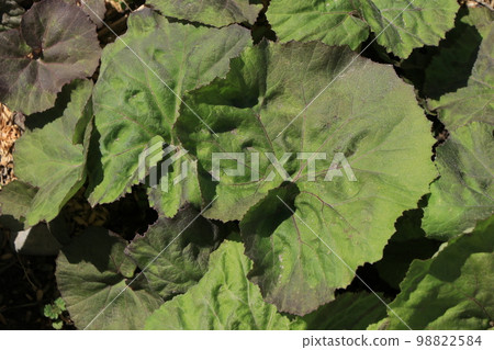 Fuuki離開 98822584