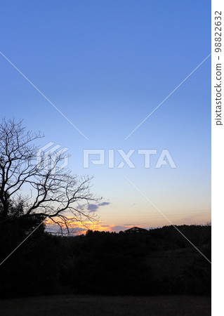 Twilight sky Sunset tree Twilight sky Sunset tree 98822632