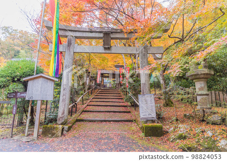 Autumn leaves of Kyoto Yamashina Shoten (Sorin-in Temple) 98824053