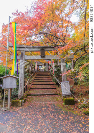 京都山科書店(宗麟院)的紅葉 京都山科書店(宗麟院)的紅葉 98824054