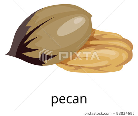 Pecan nut color icon. Raw vegan snack Pecan nut color icon. Raw vegan snack 98824695