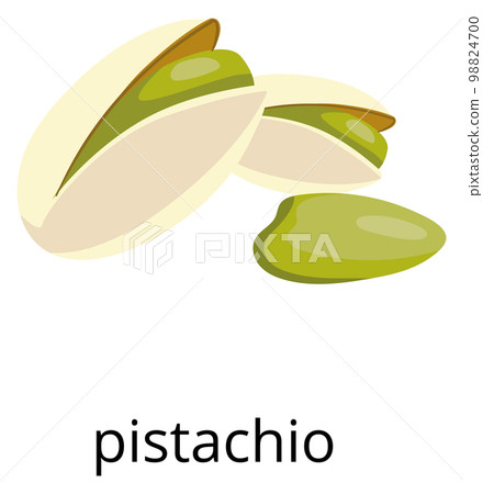 Pistachio green nut in shell. Color food icon Pistachio green nut in shell. Color food icon 98824700