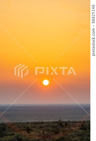 Paradise dawn in the spring in the flowering steppe of Kazakhstan. Sunrise over the Kyzylkum desert. Endless majestic savannah landscapes 98825148
