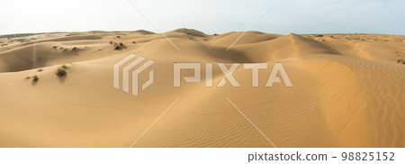 Sand dunes in the Kyzylkum desert Kazakhstan. The vast desert of Central Asia 98825152