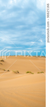 Bright blue cloudy sky over the yellow desert of Kyzylkum Kazakhstan. Rainy weather in the desert. Beautiful landscape of the desert of Central Asia 98825166