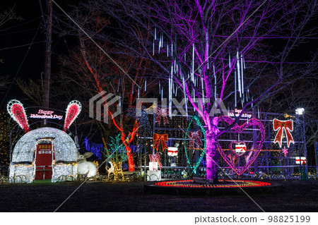 Sogi Falls Park Illumination 2023 Rabbit Year & Valentine's Day Ver. 98825199