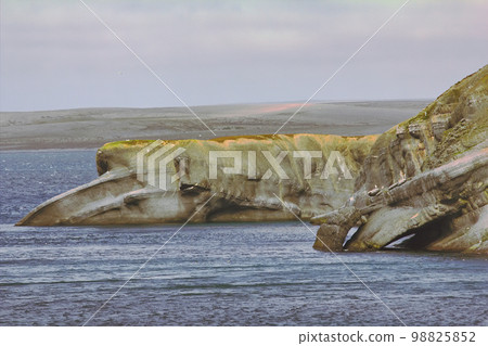 The Cape whale in the Barents sea, Novaya Zemlya archipelago, South island The Cape whale in the Barents sea, Novaya Zemlya archipelago, South island 98825852