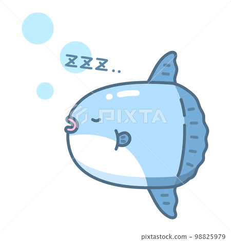 sunfish sleeping 98825979