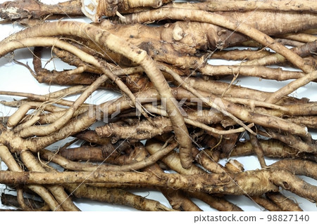 Fresh dandelion roots, lat.Taraxacum officinale on white Fresh dandelion roots, lat.Taraxacum officinale on white 98827140