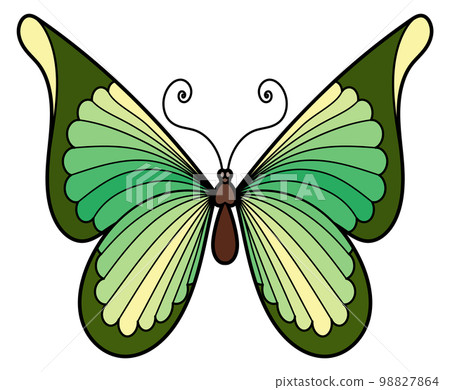 Spring moth. Decorative green butterfly. Insect drawing Spring moth. Decorative green butterfly. Insect drawing 98827864