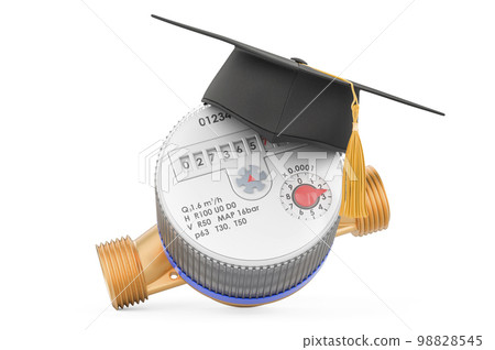 Water meter with education hat. 3D rendering 98828545