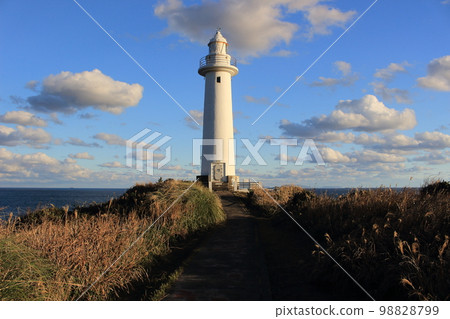 Tsumekizaki - Natural park with chalk lighthouse Tsumekizaki - Natural park with chalk lighthouse 98828799