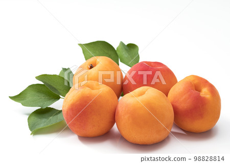 white back apricot white back apricot 98828814