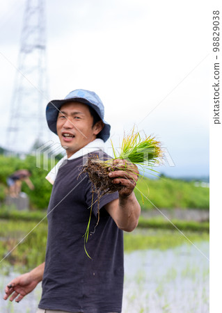 Rice planting Rice planting 98829038