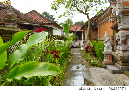 Interior of the courtyard of a house on the island of Bali 98829974