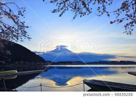 This is a photo with sunrise sunset reflecting Mount Fuji and cherry blossom lake 98830288