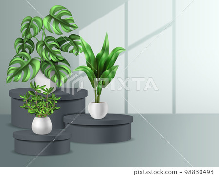 Houseplants Interior Background Illustration Houseplants Interior Background Illustration 98830493