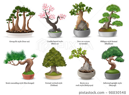 Bonsai Tree Set 98830548