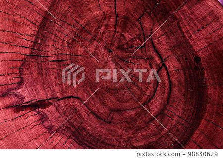 The background color of the viva magenta 2023 tree texture. Old apple tree stump top view. Cross section of a tree trunk with cracks and annual rings. High quality photo The background color of the viva magenta 2023 tree texture. Old apple tree stump top view. Cross section of a tree trunk with cracks and annual rings. High quality photo 98830629