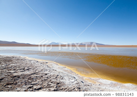 Bolivian lagoon view,Bolivia 98831143