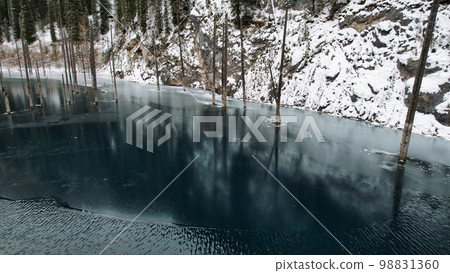 Coniferous tree trunks come out of a mountain lake 98831360