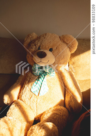 teddy bear teddy bear 98833109