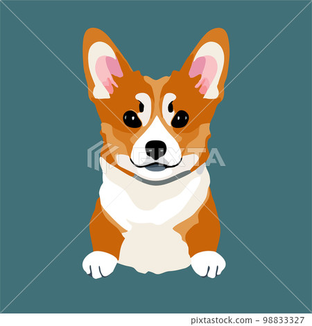 Kawaii cartoon portrait of cute funny corgi dog puppy looking at camera isolated on turquoise background. Simple flat vector logo graphic illustration. Kawaii cartoon portrait of cute funny corgi dog puppy looking at camera isolated on turquoise background. Simple flat vector logo graphic illustration. 98833327