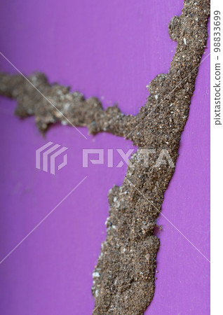 Sand tunnel made by termites 98833699