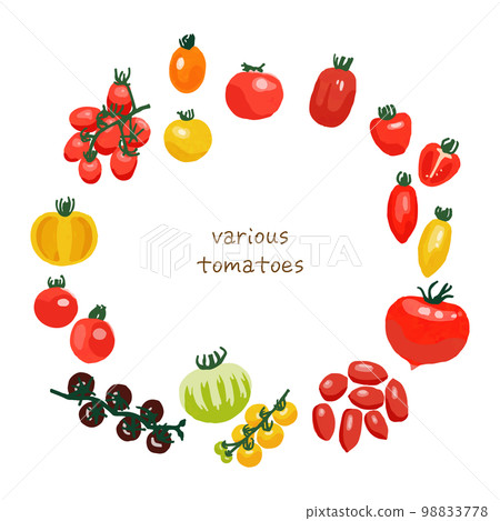 各種可愛西紅柿的矢量圖解 各種可愛西紅柿的矢量圖解 98833778