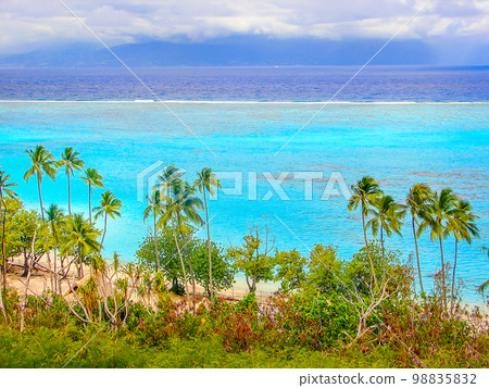 Moorea Tropical paradise, Idyllic turquoise beach in French Polynesia, Tahiti Moorea Tropical paradise, Idyllic turquoise beach in French Polynesia, Tahiti 98835832