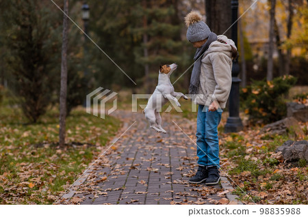 Caucasian girl playing with a dog for a walk in the autumn park. Caucasian girl playing with a dog for a walk in the autumn park. 98835988