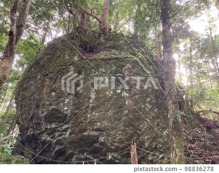 It is a huge mossy rock that is the object of worship of Tankura Shrine, a shrine deep in the mountains of Kumano City, Mie Prefecture. 98836278