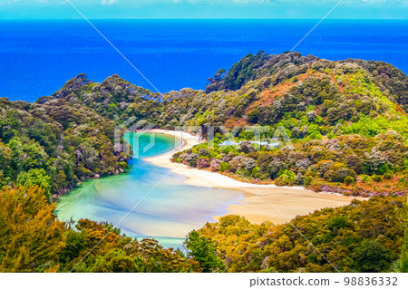 Idyllic beach in abel tasman national park, New Zealand South Island 98836332