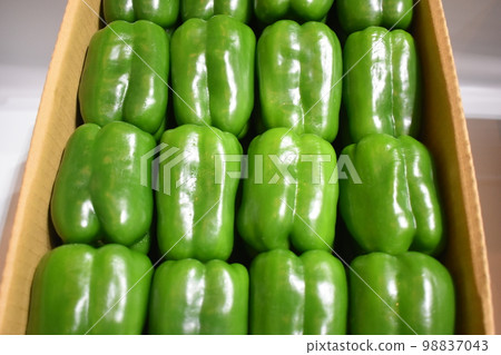 Thick peppers from Okinawa Thick peppers from Okinawa 98837043