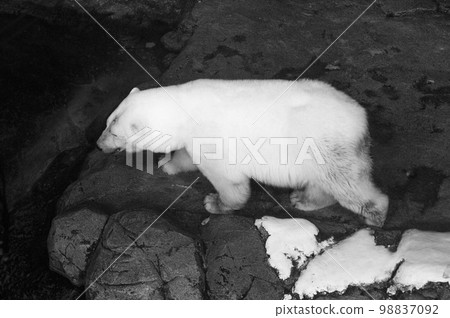 Japan, aquariums, shrines, temples, temples, tourism 98837092