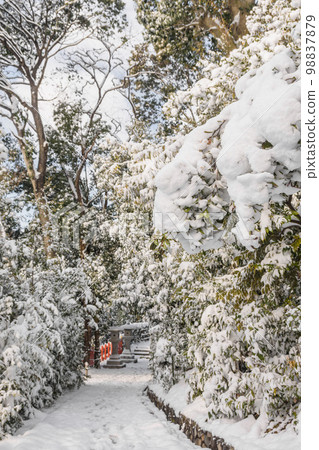 Kyoto Funaoka Snow road scenery 98837879