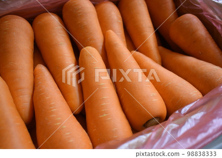 carrot  98838333