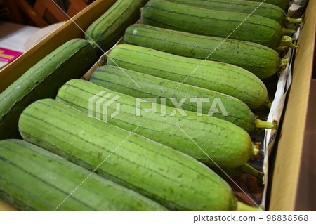 Loofah from Okinawa Prefecture (Okinawa) 98838568