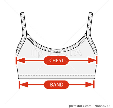 文胸上衣和運動文胸矢量插圖女裝尺碼表（尺碼表） 98838742