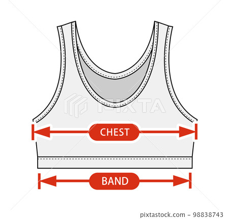 文胸上衣/運動文胸女式運動服尺碼表的矢量插圖 文胸上衣/運動文胸女式運動服尺碼表的矢量插圖 98838743