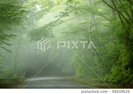 前往觀光台(青森縣十和田湖)的霧中道路 前往觀光台(青森縣十和田湖)的霧中道路 98839626
