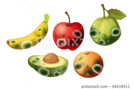 Set of inedible fruit with mould 98839911