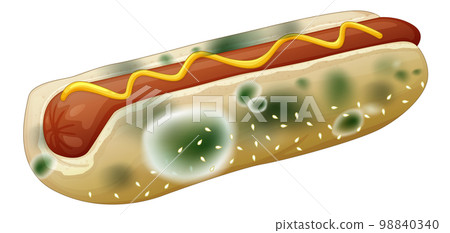 Inedible bread with mould Inedible bread with mould 98840340