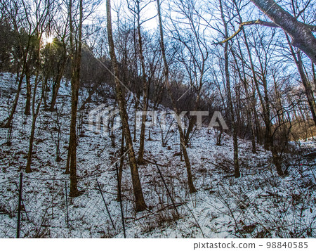 殘雪金巴山登山步道 98840585
