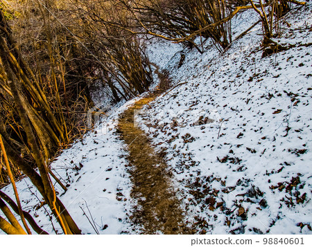 金巴山殘雪登山步道 98840601