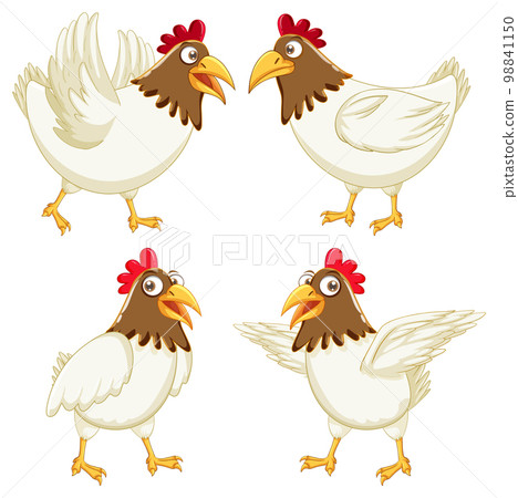 Chicken cartoon characters set Chicken cartoon characters set 98841150