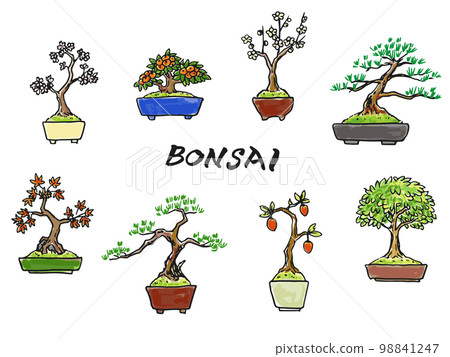 bonsai illustration bonsai illustration 98841247