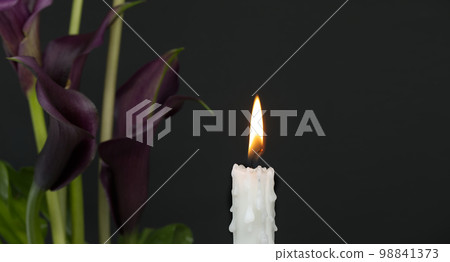 Burning candle and purple Calla lily sepals in the darkness Burning candle and purple Calla lily sepals in the darkness 98841373