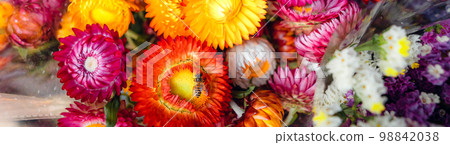 colorful flowers in the market colorful flowers in the market 98842038